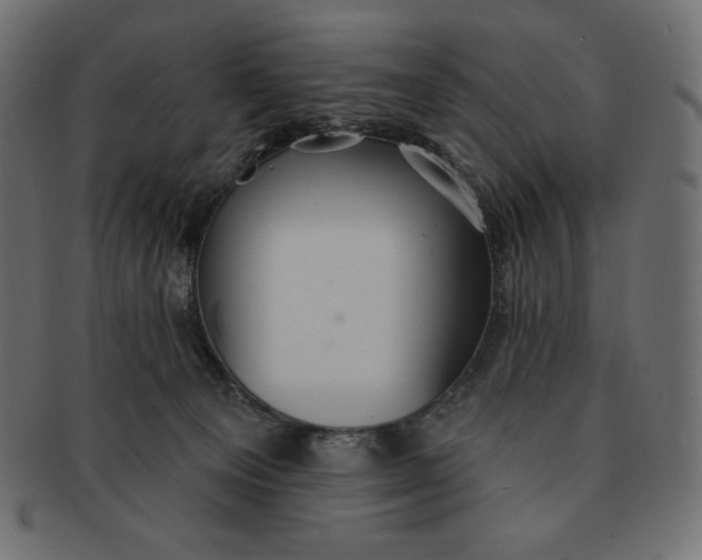 X0000091510129200709071003