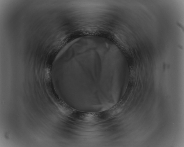 X0000091510130200709071002