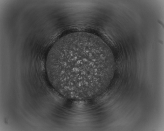 X0000091510131200709071002