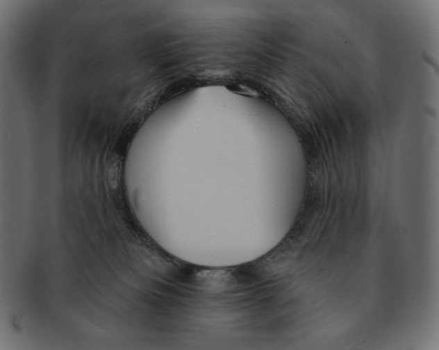 X0000091510133200709071002