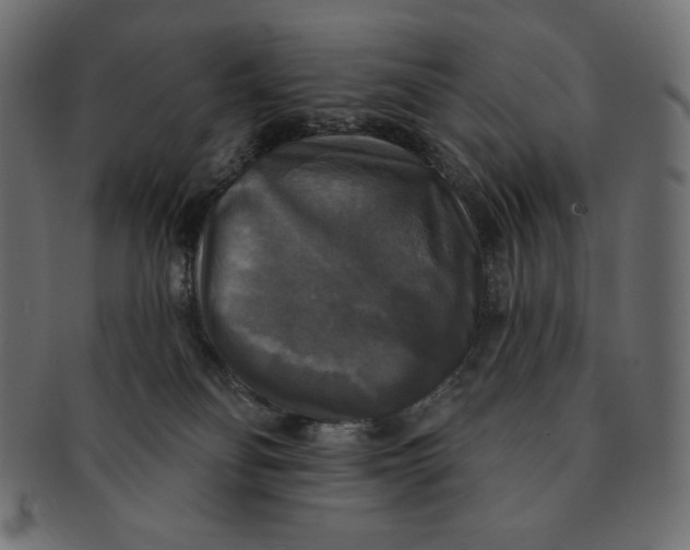 X0000091510134200709071002