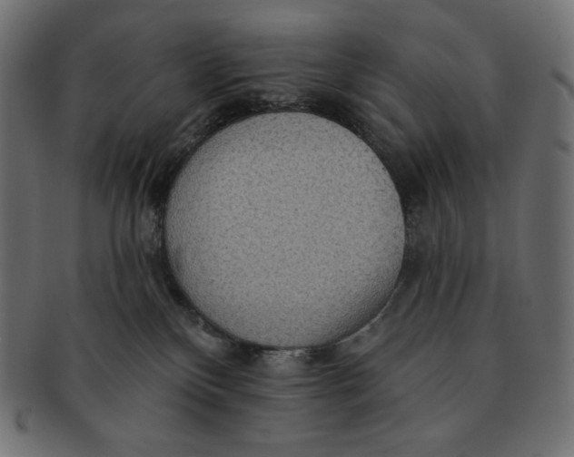 X0000091510136200709071002