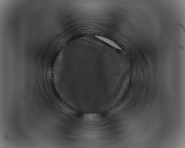 X0000091510137200709071002