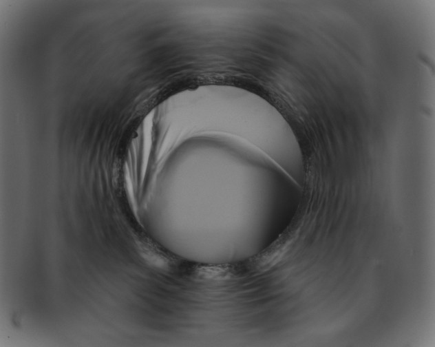 X0000091510139200709071002