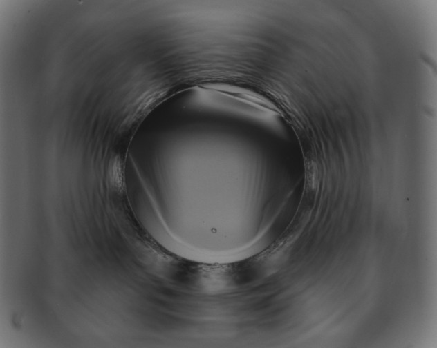 X0000091510143200709071002