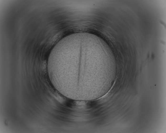 X0000091510144200709071002