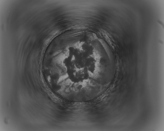 X0000091510145200709071001