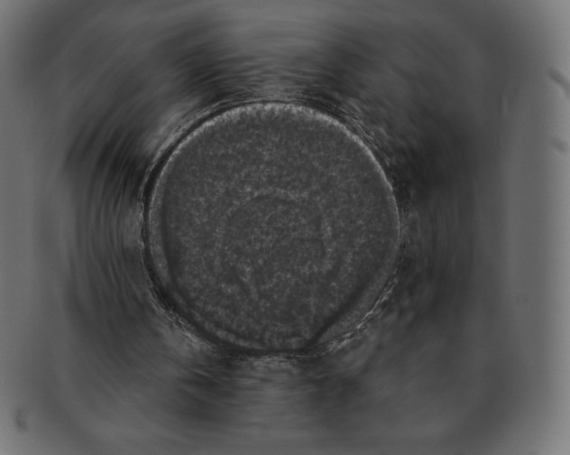 X0000091510146200709071001