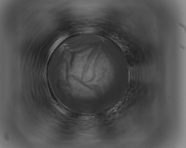 X0000091510147200709071002