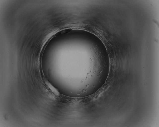 X0000091510148200709071002