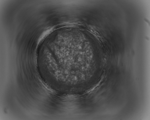 X0000091510149200709071002