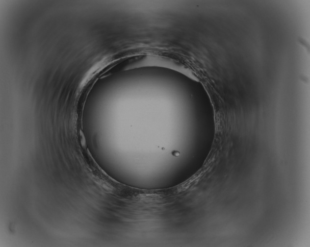 X0000091510150200709071002