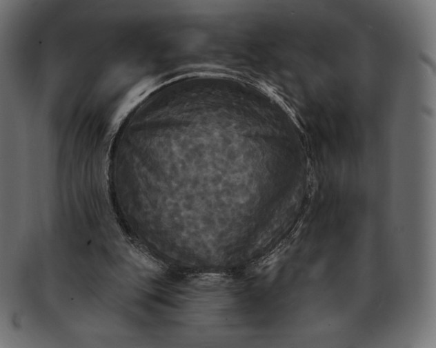 X0000091510151200709071002