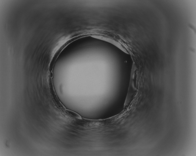 X0000091510152200709071002