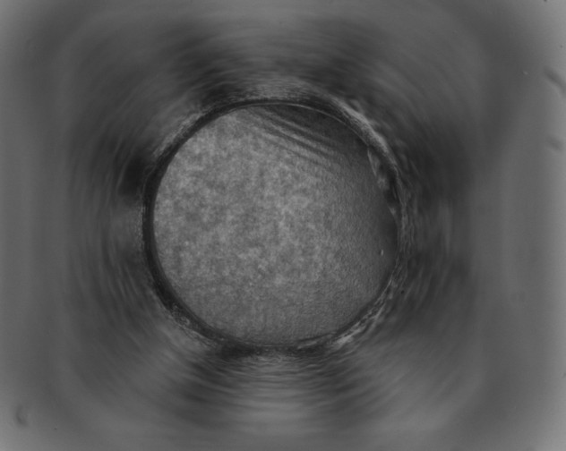 X0000091510154200709071002