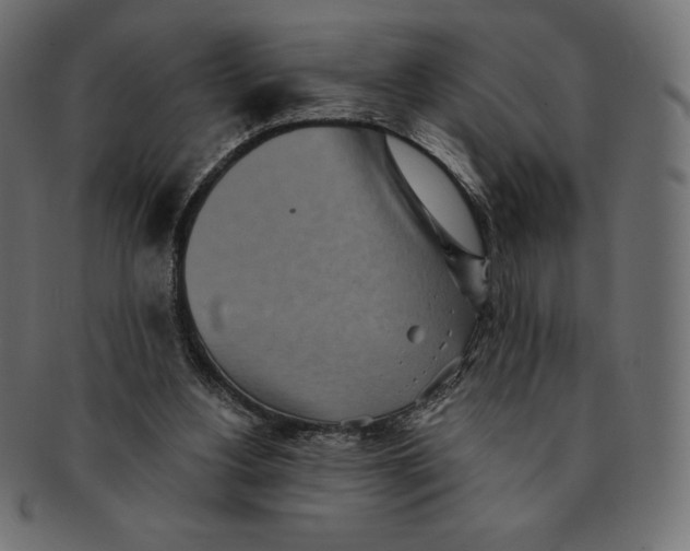 X0000091510156200709071002