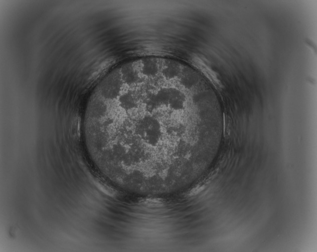 X0000091510157200709071002