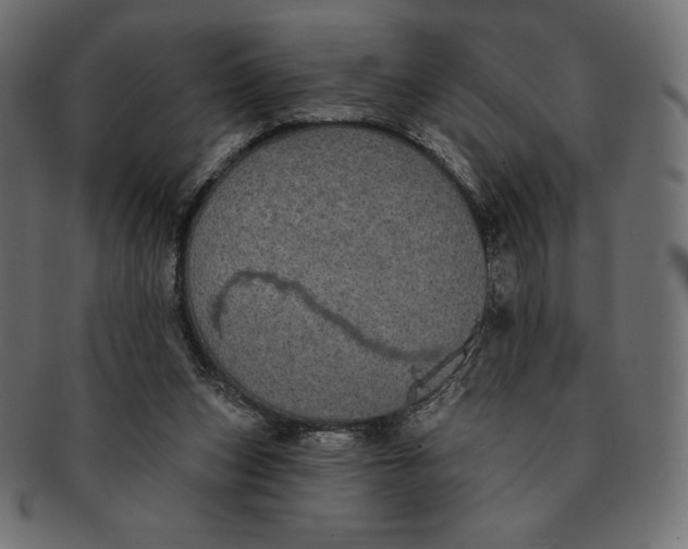 X0000091510159200709071002