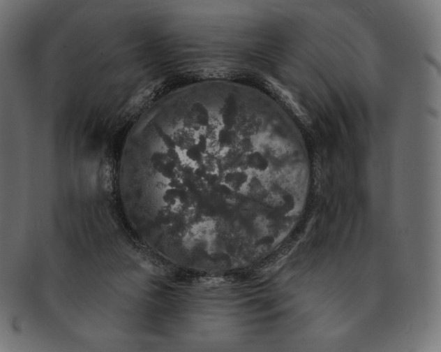 X0000091510161200709071002