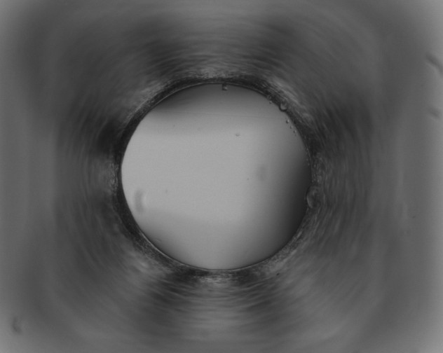 X0000091510164200709071002