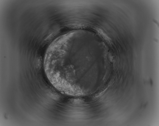 X0000091510165200709071002