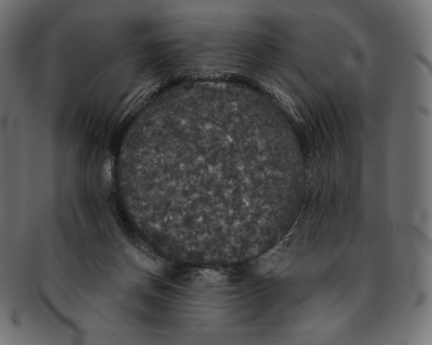 X0000091510166200709071002