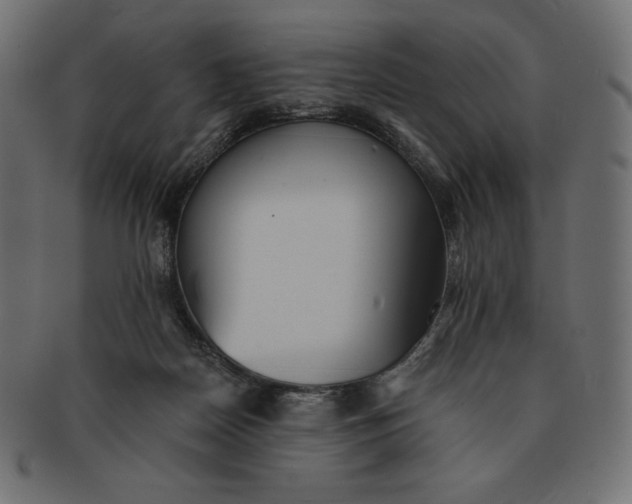 X0000091510170200709071002