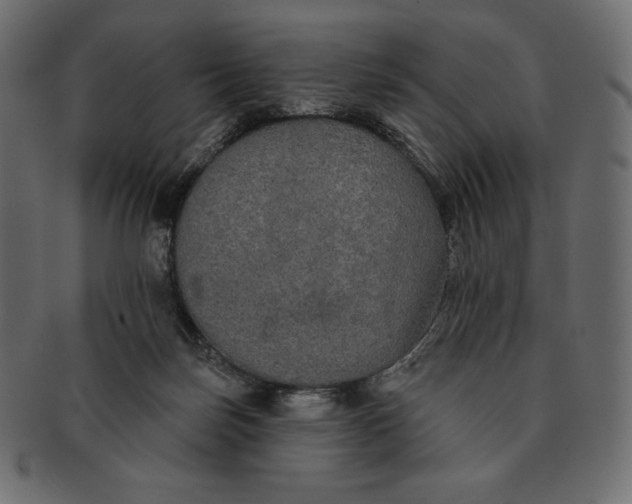 X0000091510171200709071002