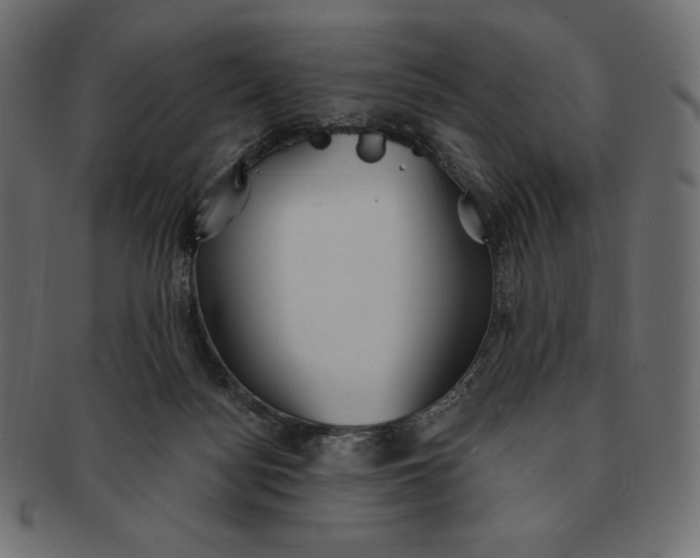 X0000091510172200709071002