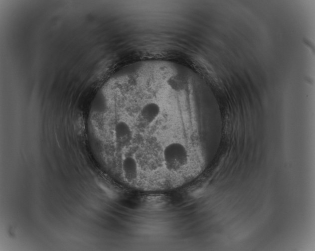 X0000091510173200709071002