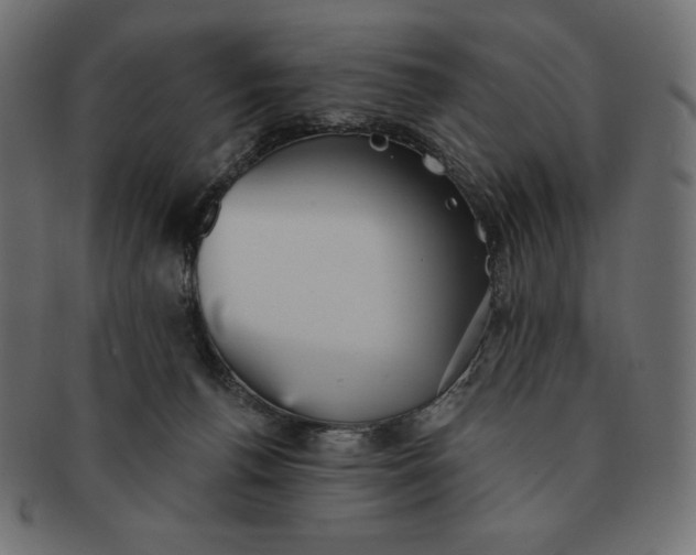 X0000091510176200709071002