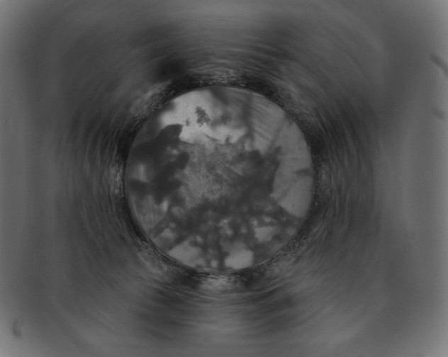 X0000091510177200709071002