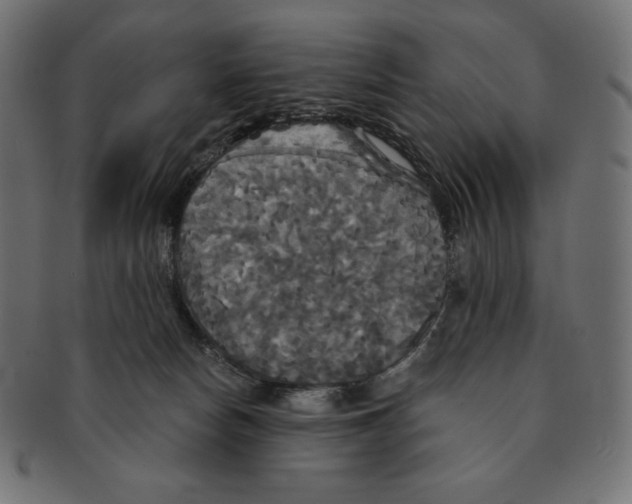 X0000091510178200709071002