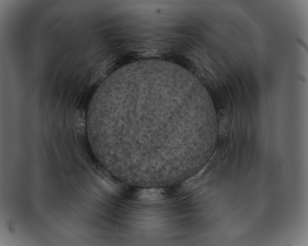 X0000091510179200709071002