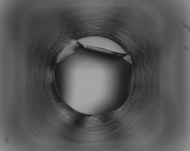 X0000091510180200709071002