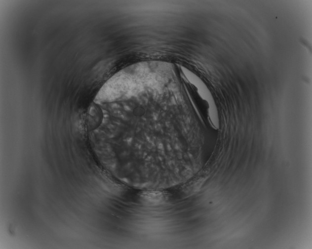 X0000091510181200709071002