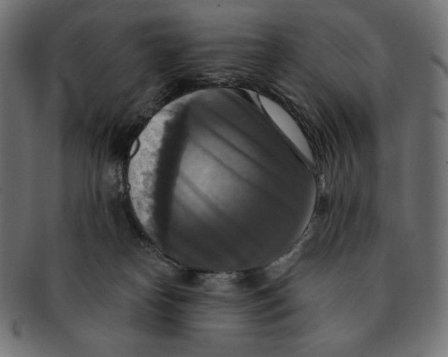 X0000091510182200709071002