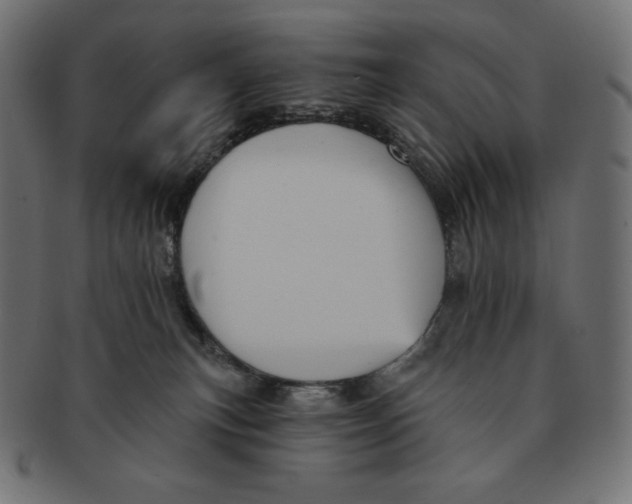 X0000091510183200709071002