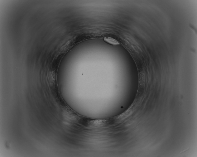 X0000091510184200709071002