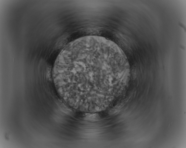 X0000091510185200709071002