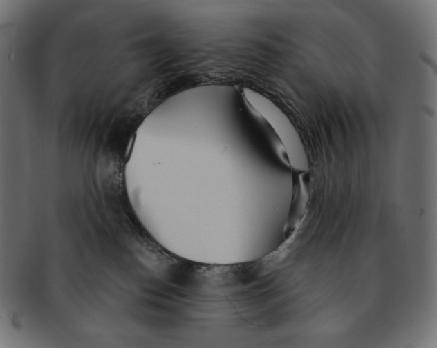 X0000091510186200709071002