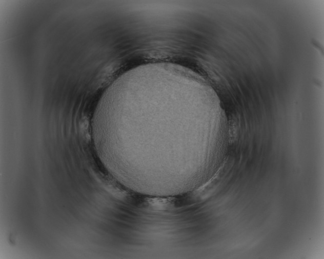 X0000091510187200709071002