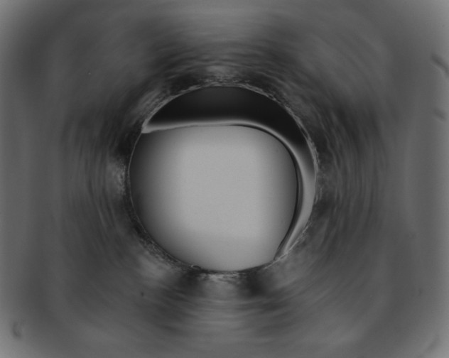 X0000091510188200709071002