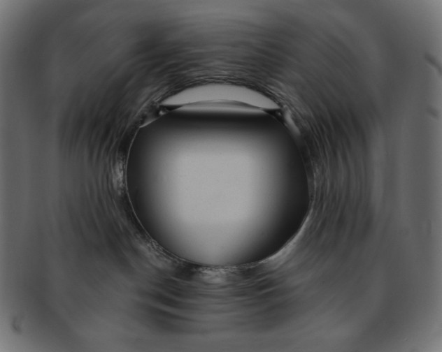 X0000091510190200709071002