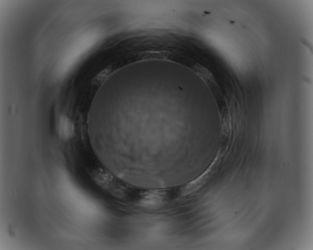 X0000091510191200709071002