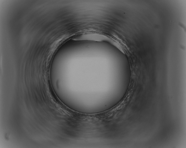 X0000091510193200709071001