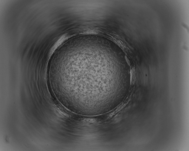 X0000091510195200709071001