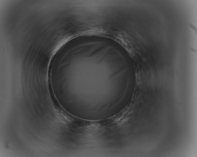 X0000091510196200709071001