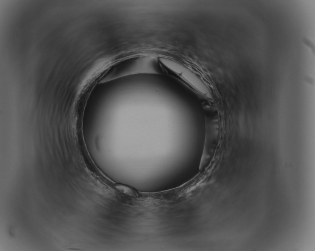 X0000091510197200709071001