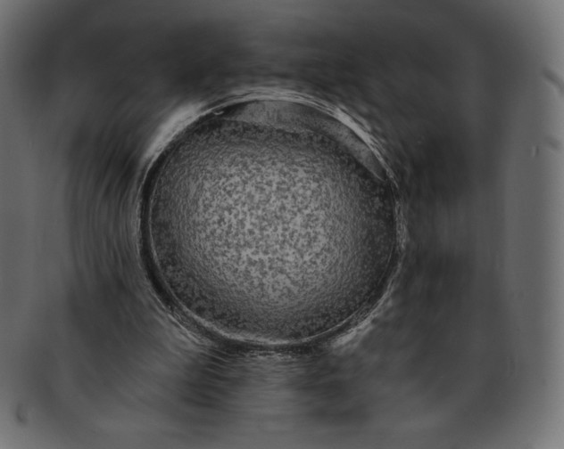 X0000091510199200709071001